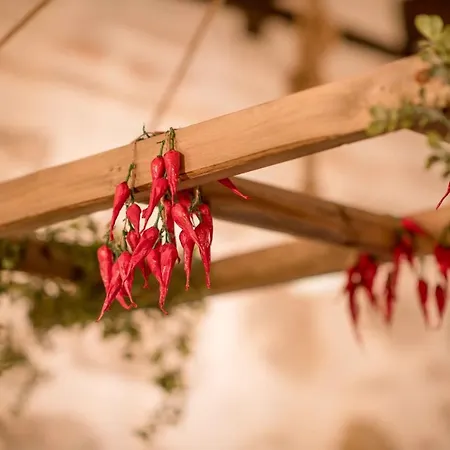 La Casita De Candela